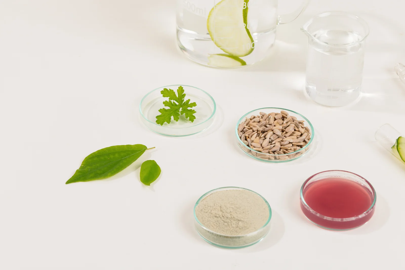 Ingrédients d'origine naturelle des compléments Épycure